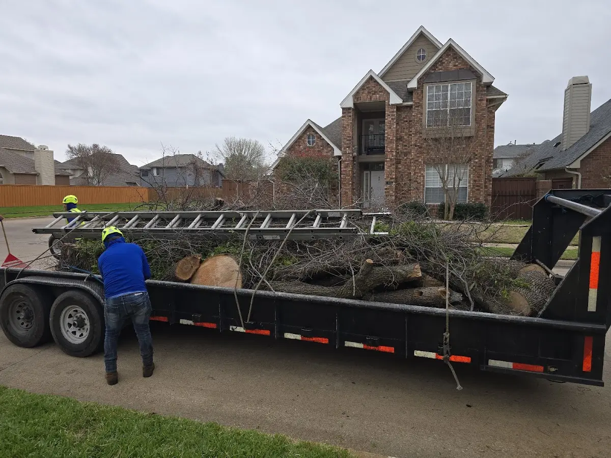 Expert Crown Reduction with proper safety equipment in Brownstown